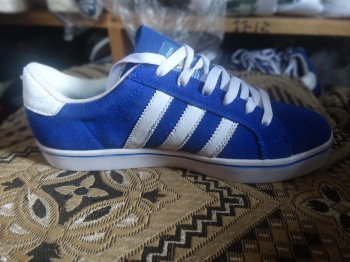  Têtes de Cochons Bleue