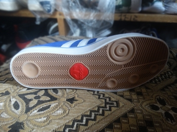  Têtes de Cochons Bleue