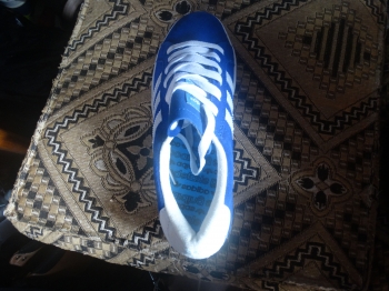  Têtes de Cochons Bleue