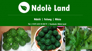  Ndole, folong, nkea 