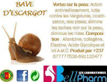  Bave d'escargot