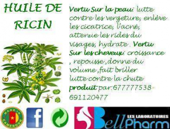 Huile de ricin