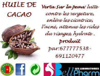  Huile de Cacao