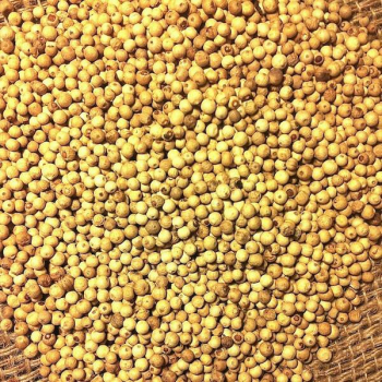  Poivre Blanc de penja 1 kg 