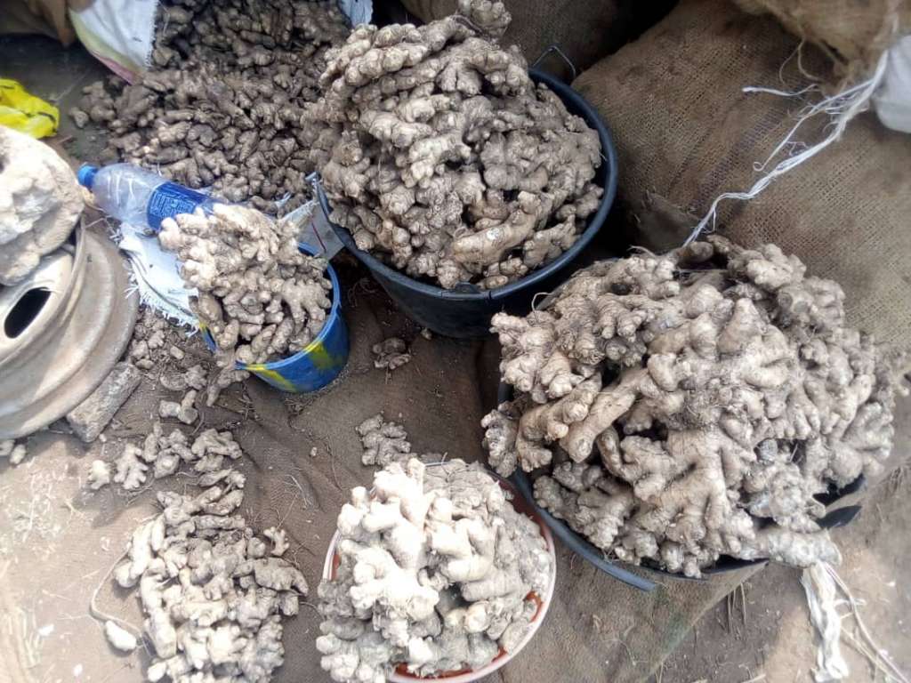  Haricots verts, Gingembre