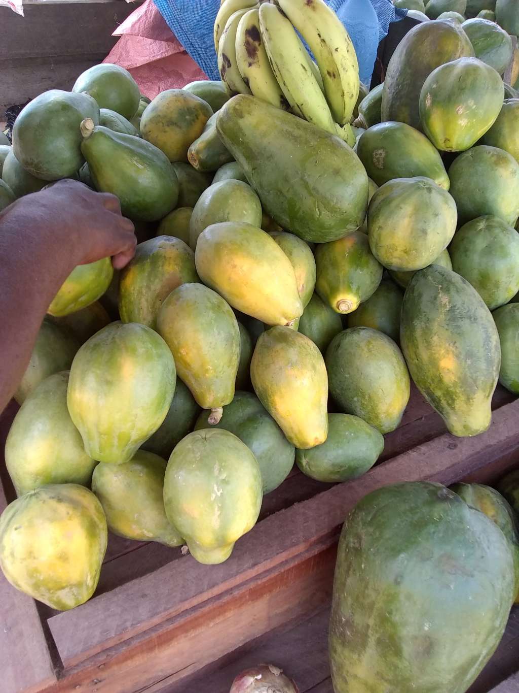  Papaye,banane