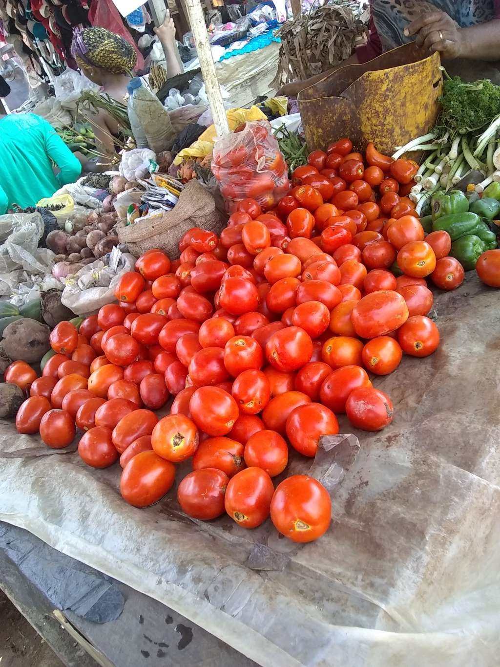  Tomates, condiments verte, epices