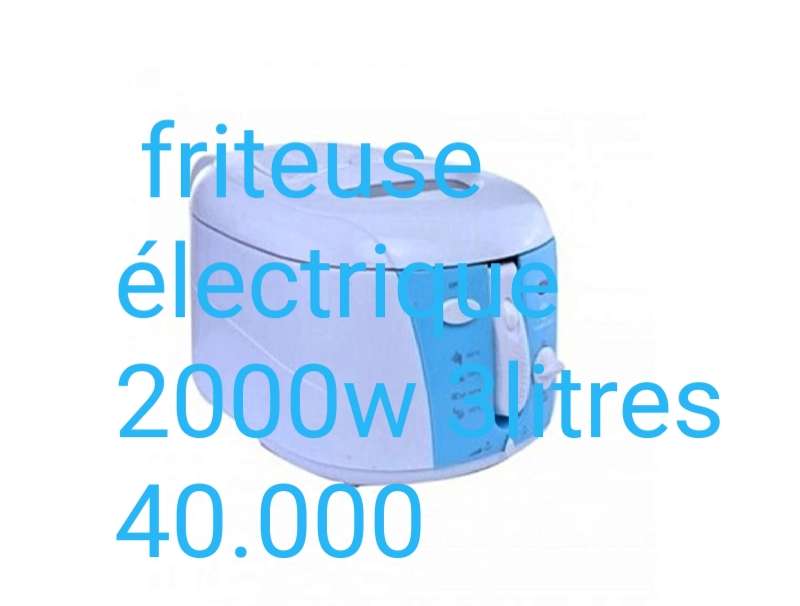  Friteuse électrique