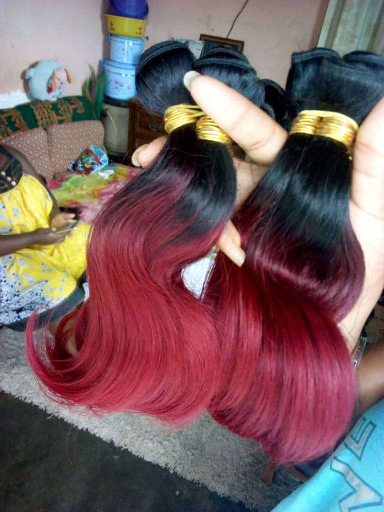  Greffe naturelle T10