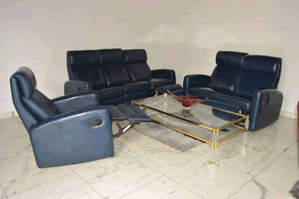  Salon de relaxation en cuir