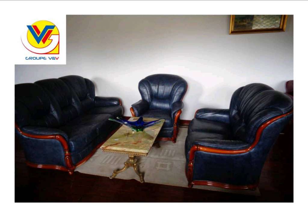  Salon en 100% cuir
