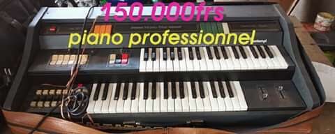  Piano professionnel