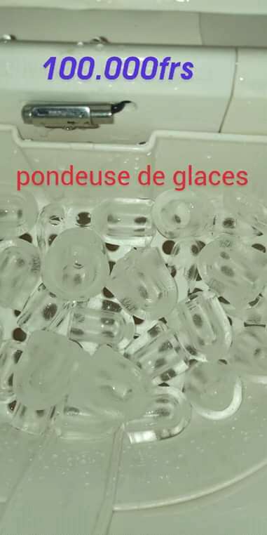  Pondeuse de glace