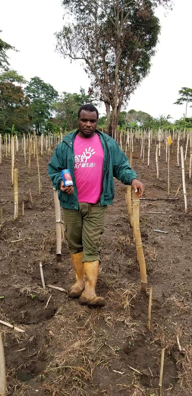  Champ de tomate Au besoin contacté nous pour la mise en oeuvre de vos projets agricoles 