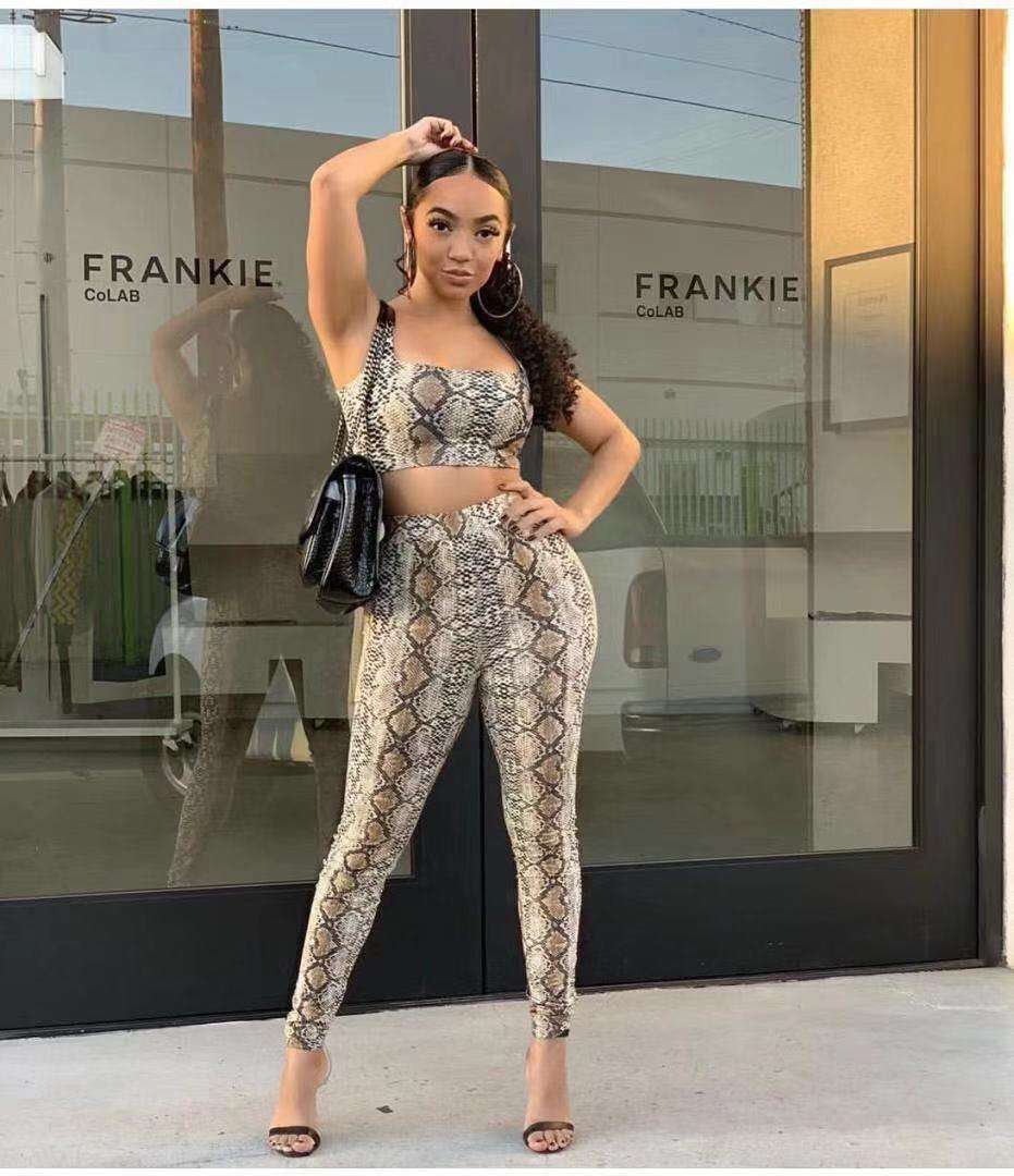  Ensemble