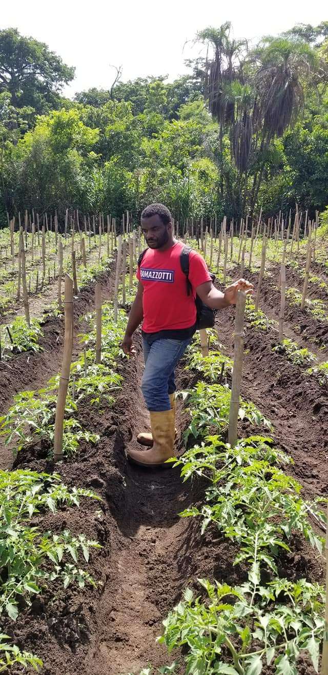  Champ de tomate, disponible très bientôt 