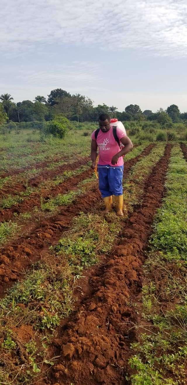  Nous réalisons tous vos projet agricoles 