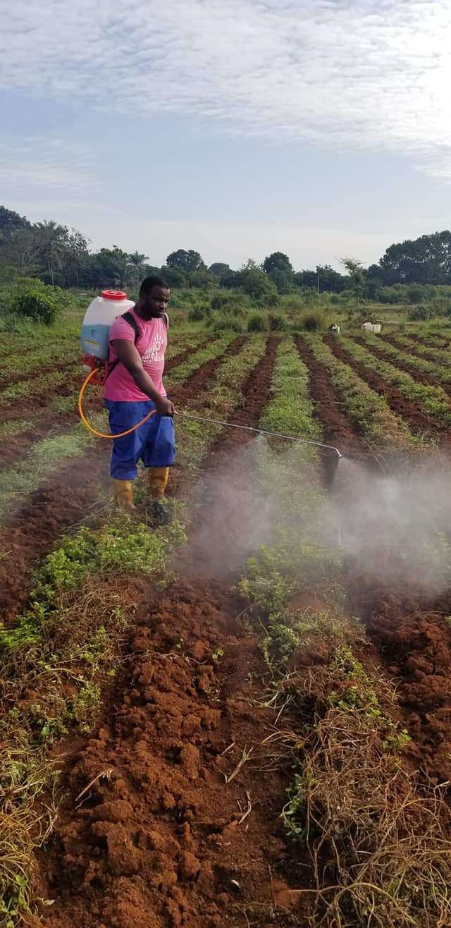  Nous réalisons tous vos projet agricoles 