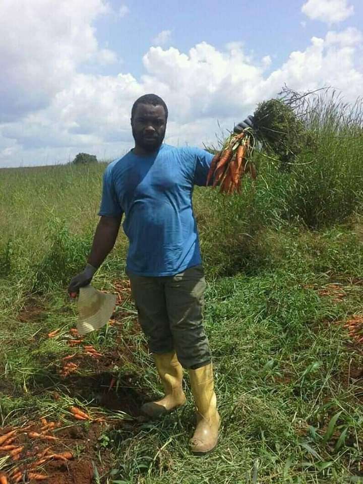  Contacté nous pour vos projets agricoles 