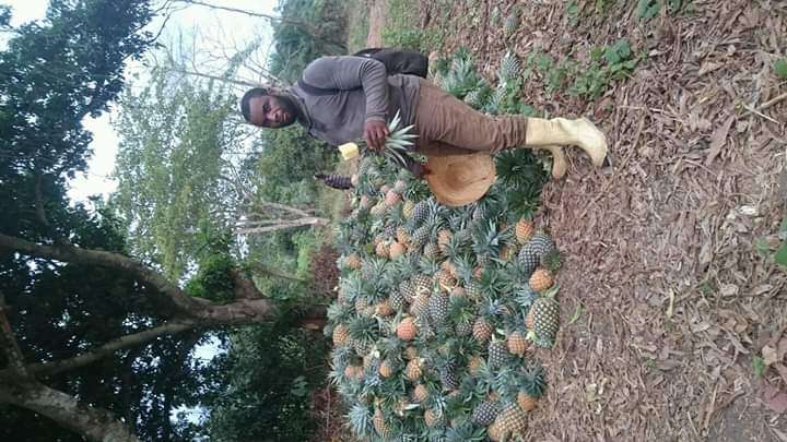  Contacter nous pour tous vos projets agricoles 