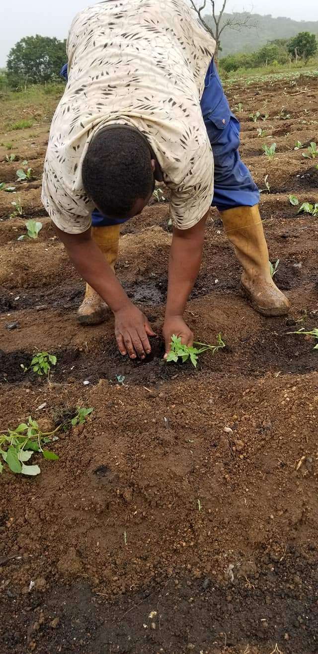  Contacté nous pour tous vos projets agricoles 