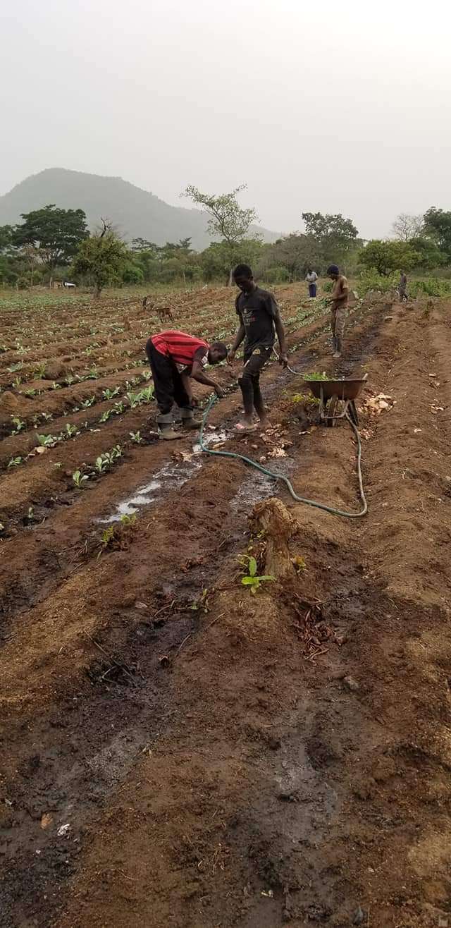  Contacté nous pour tous vos projets agricoles 