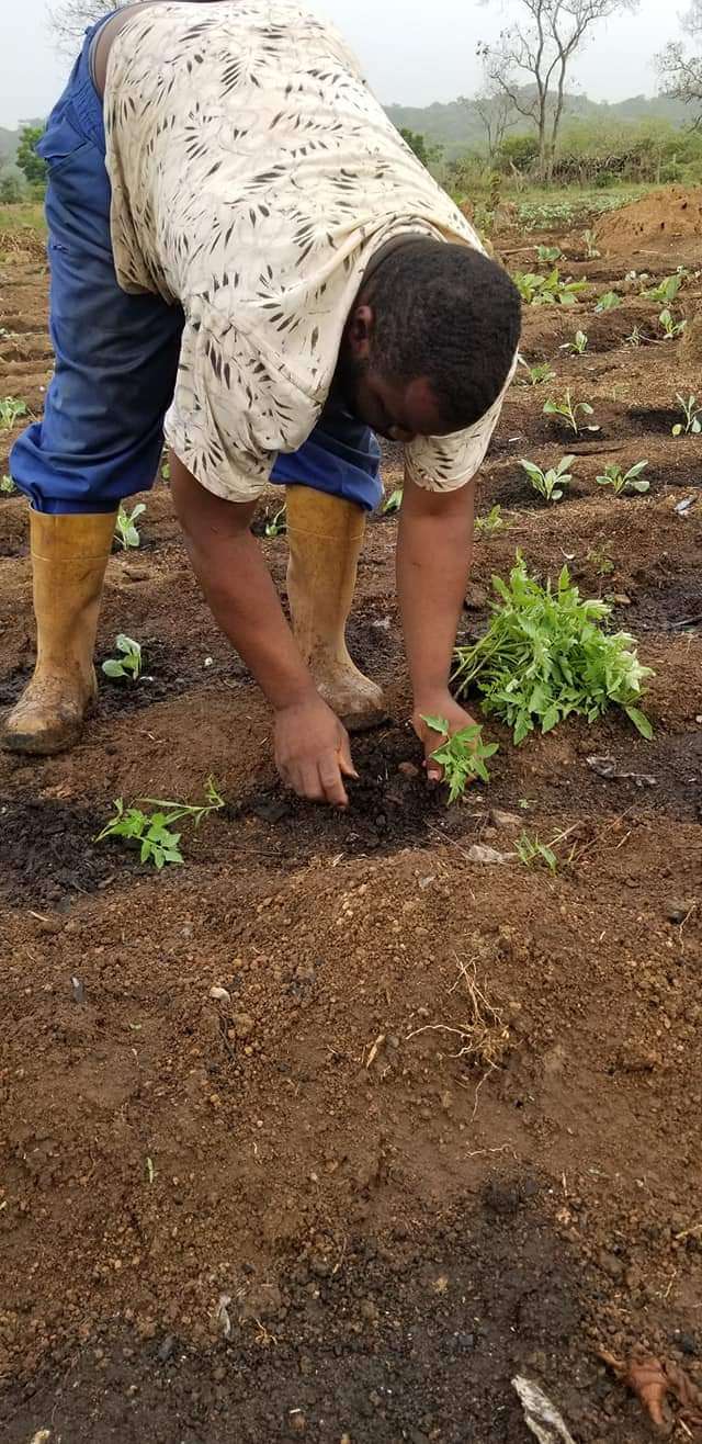  Contacté nous pour tous vos projets agricoles 