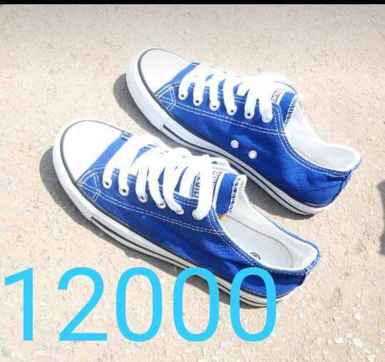  Tenis