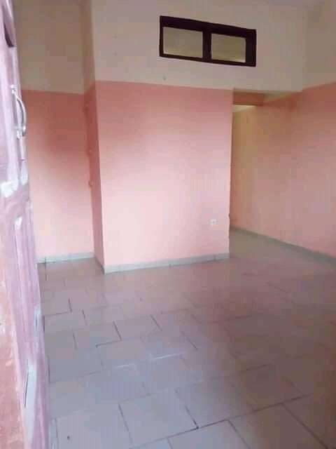  chambre à louer 