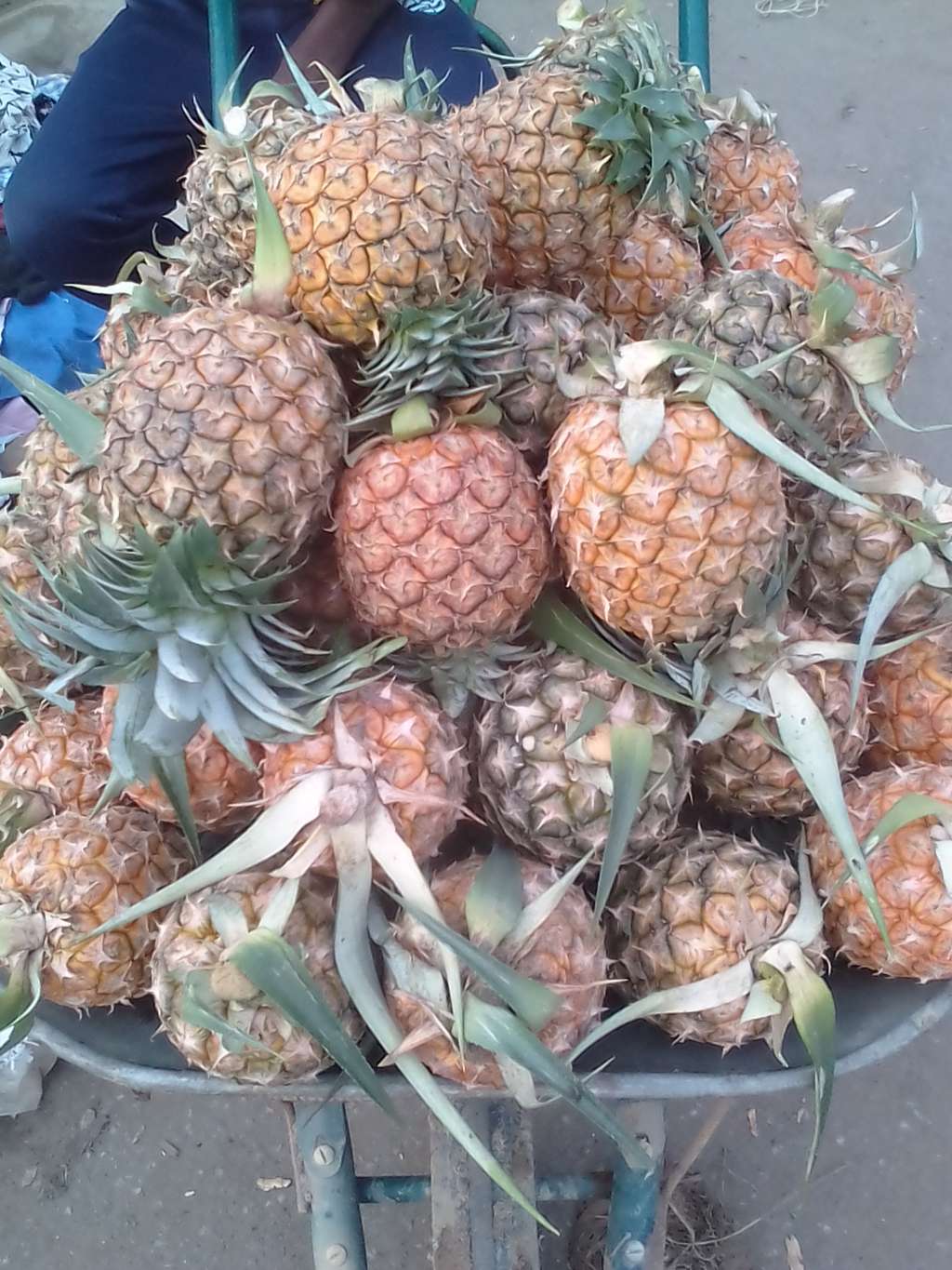  Ananas