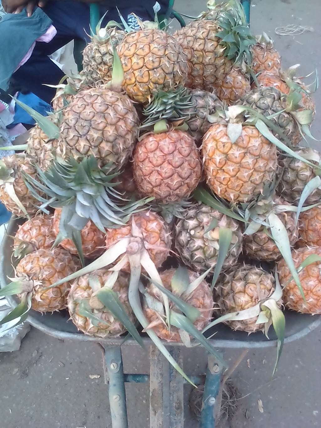  Ananas