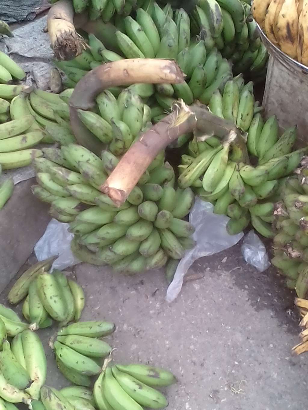  Banane