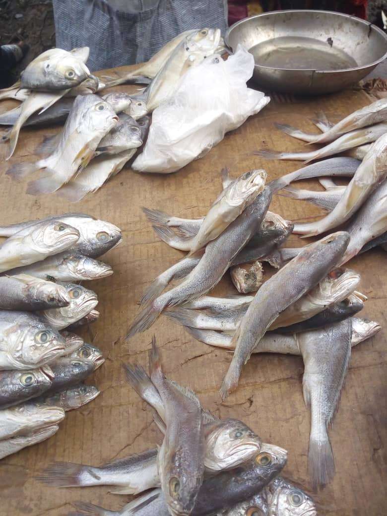  Poisson frais 