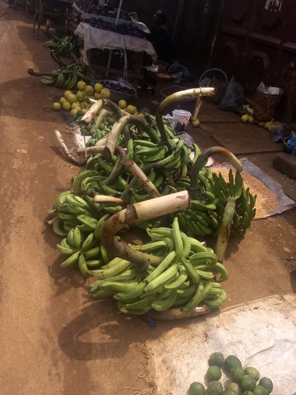  Plantains