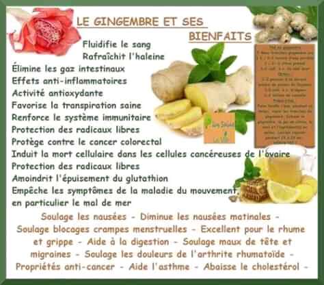  Pot de gingembre en poudre 100g