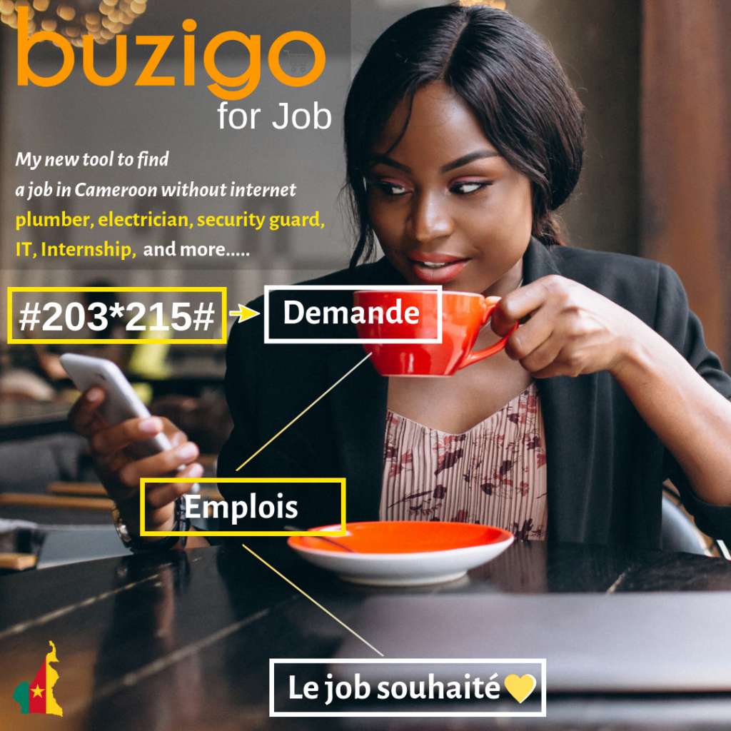  INFORMATICIEN DÉVELOPPEUR APPLICATION