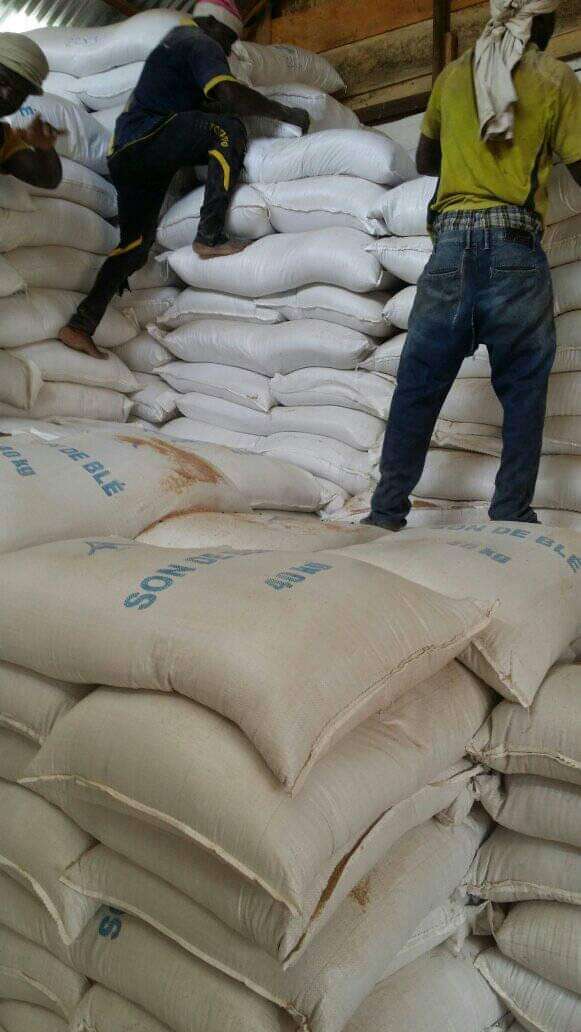  Son de blé 2000 sacs disponible 