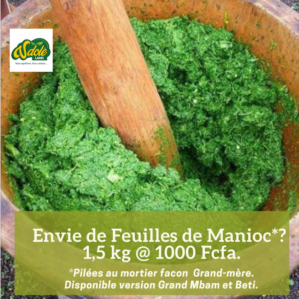  Legumes prêts à cuisiner