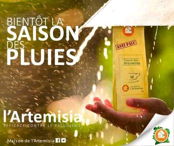  Tisanes et infusions