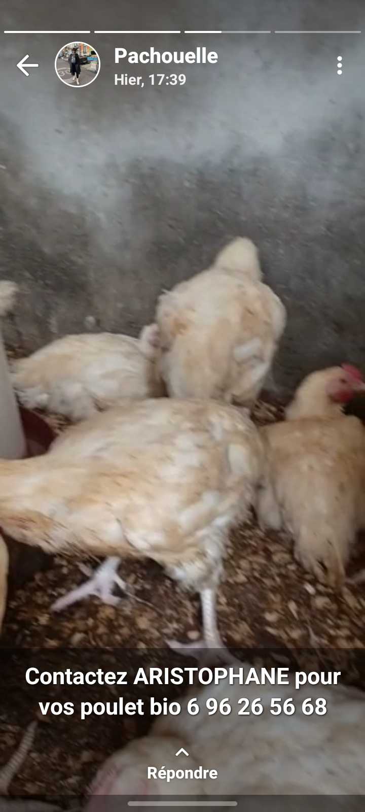  Poulet réforme 