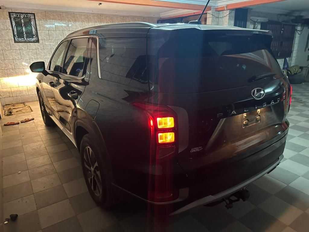  Hyundai palissade 2020