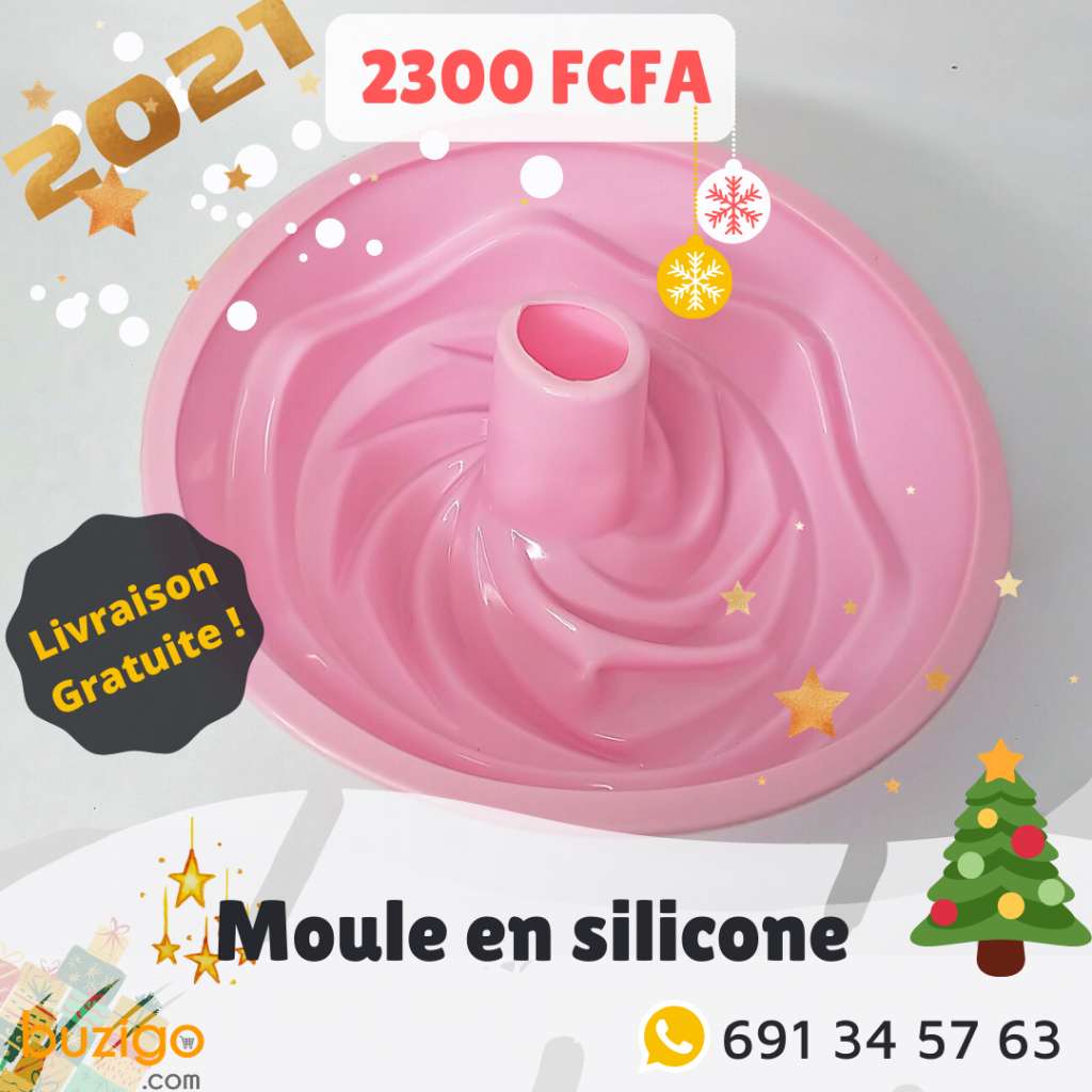  Moule en silicone