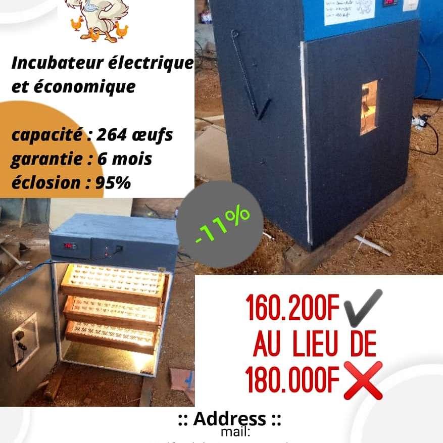  Incubateur électrique (économique) 264 œufs