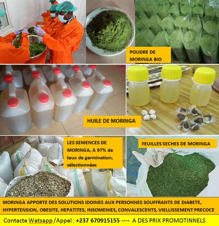  MORINGA CAMEROUN