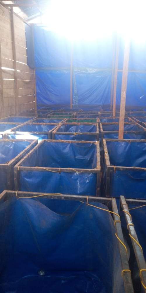  bac SFE complet pour 500 poissons aquaculture