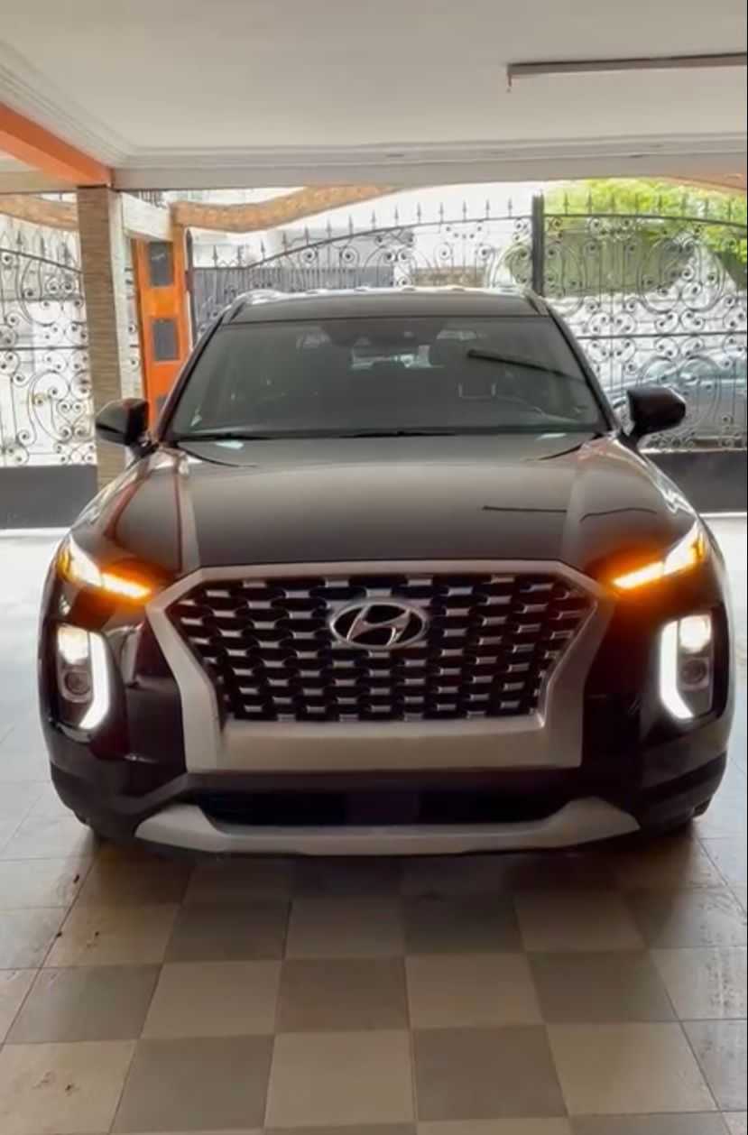  Hyundai palissade 2020
