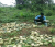 Agriculture bio 