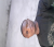 Duvaliertallin 