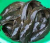 silures-chez-armel 