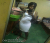 Marcelle 